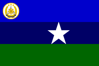 [Flag of Joint Commander]